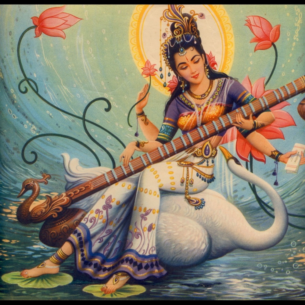 Meet the Posher ~ lexpicci